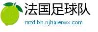 法国足球队